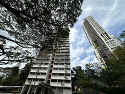 Spottiswoode Park (D2), Apartment #446653461